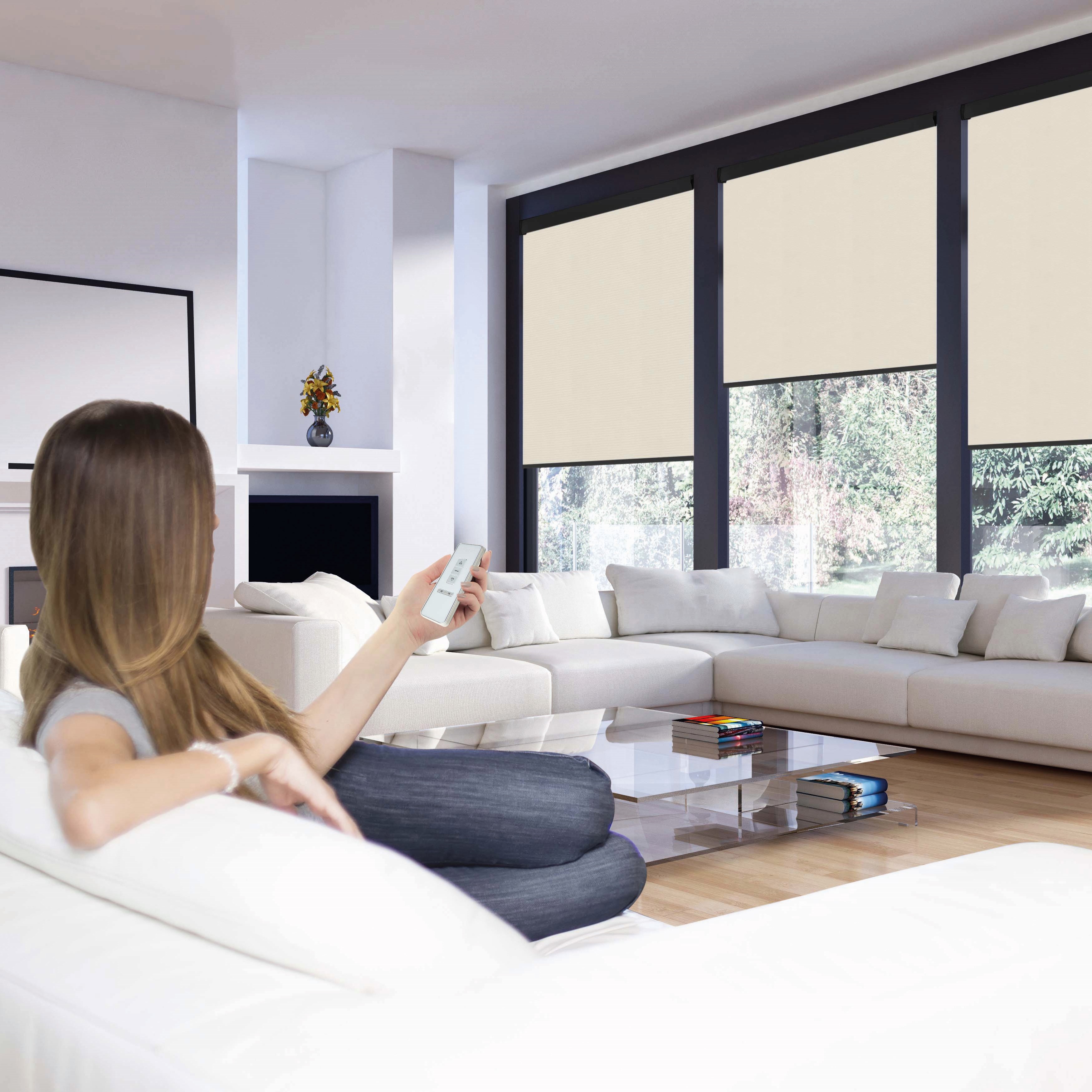 Powershade_Large_Living_Room_CLARA NEW LM.jpg